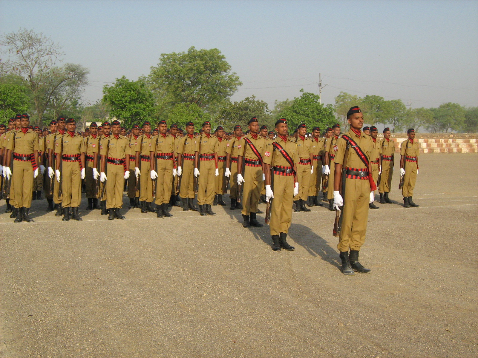 PTC Image Gallery